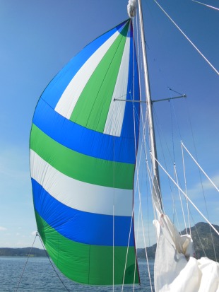 Get it on the action with a "fun sail"