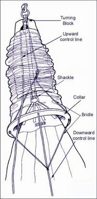 Anatomy of the common spinnaker snuffer